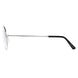 Aviator Palladium Sunglasses