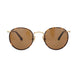 Panto Havana Sunglasses