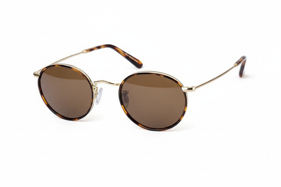 Tortoiseshell Panto Brown Lenses - Angled